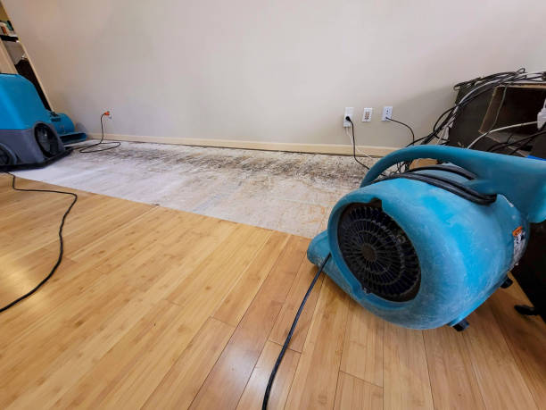 Reliable Flood Damage Restoration contractor in Wellsville, KS by Hirex Water Damage