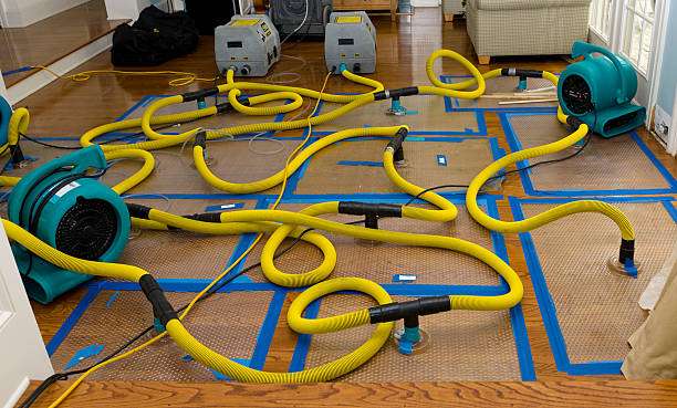 Professional Flood Damage Restoration technician working in Wellsville, KS
